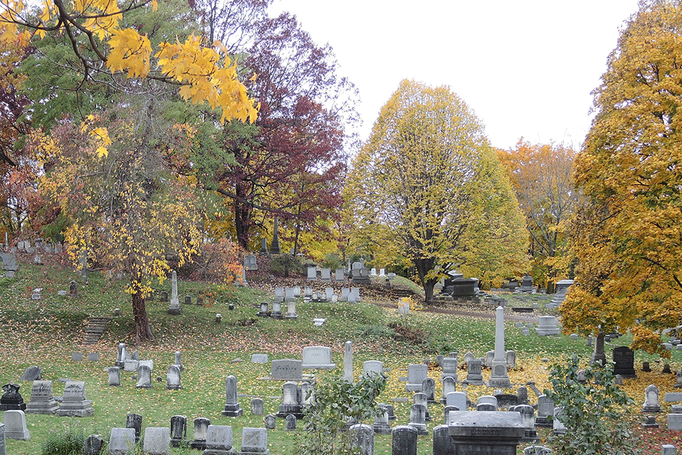 A photo of Mt. Hope Cemetery - Photo Credit: DanielPenfield via Creative Commons Attribution-Share Alike 4.0 International License.