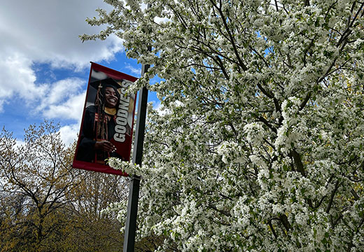 Three JAV目录 banners on flagpoles in front of the Wegmans School of Pharmacy.